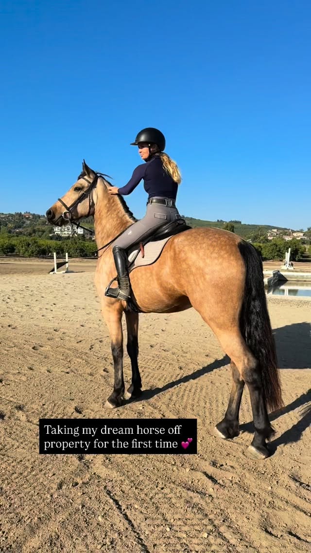 Instagram post by @zlequestrian for Majyk Equipe. Caption reads: [...] : “zlequestrian5” @shires_usa @majykequipe....