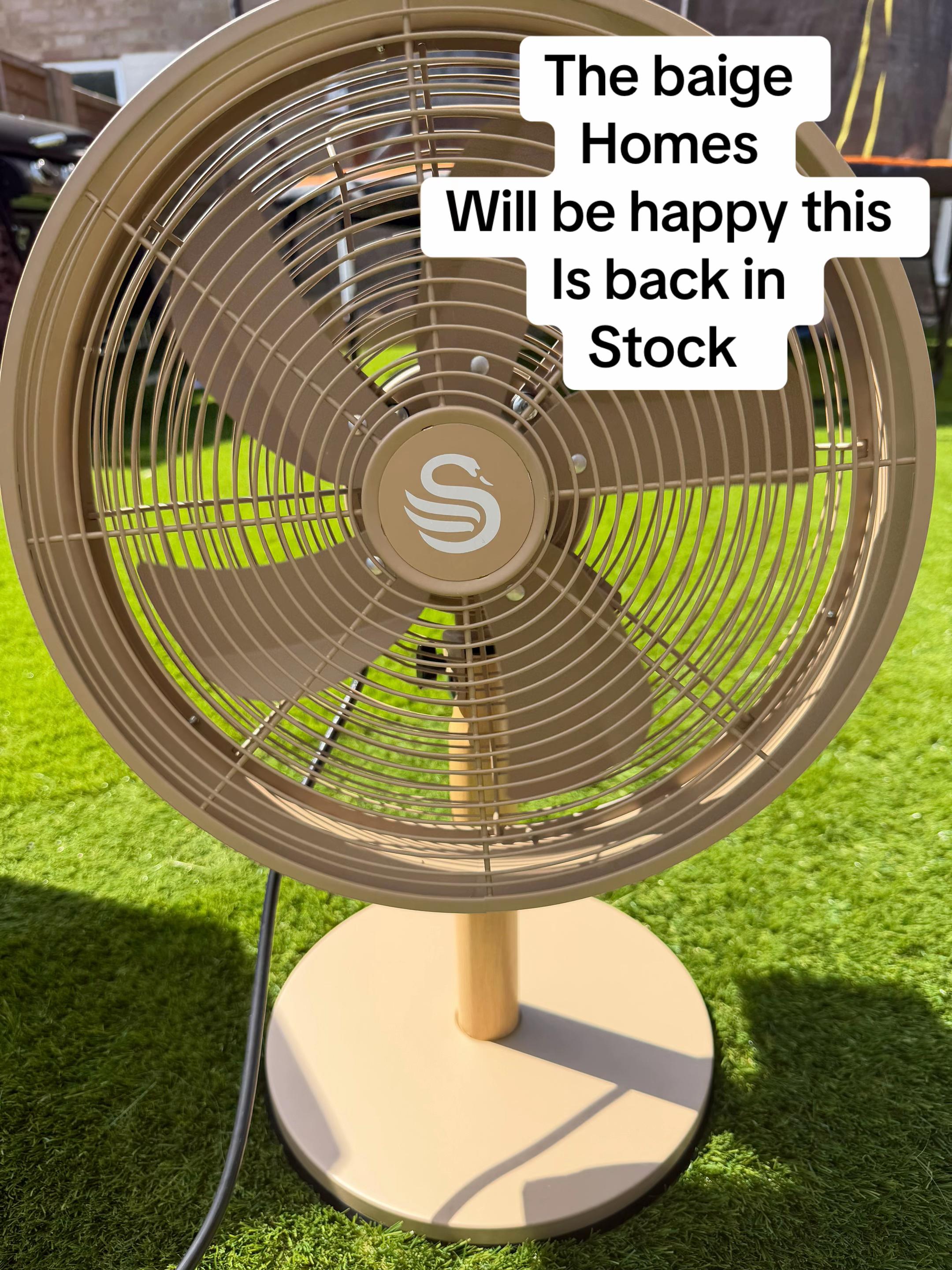 TikTok post by @lozlee13 for SwanbrandSA. Caption reads: Trying to beat the elements with my fan outside....
