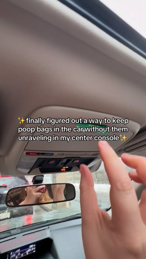 Instagram post by @bentothebug for Earth Rated. Caption reads: big brain moment @earthrated.