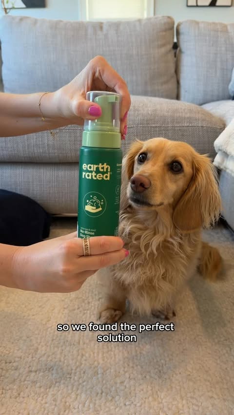 Instagram post by @theminidoxarchie for Earth Rated. Caption reads: [...] refresh option! We started using @earthrated....