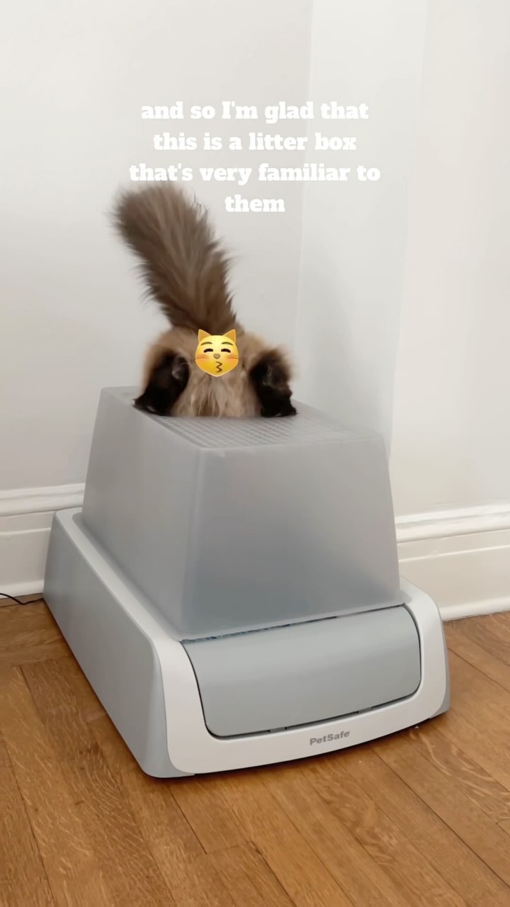 Instagram post by @the_real_toulouse for Petsafe. Caption reads: Giving my spoiled kids the ScoopFree toilet of....