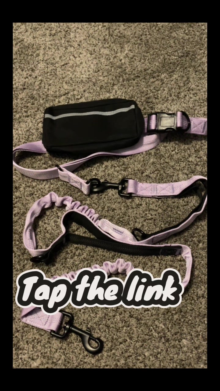 TikTok post by @chiquisdoestiktok for iYoShop. Caption reads: @iYoShop US #waist#dog #leash #handsfree.