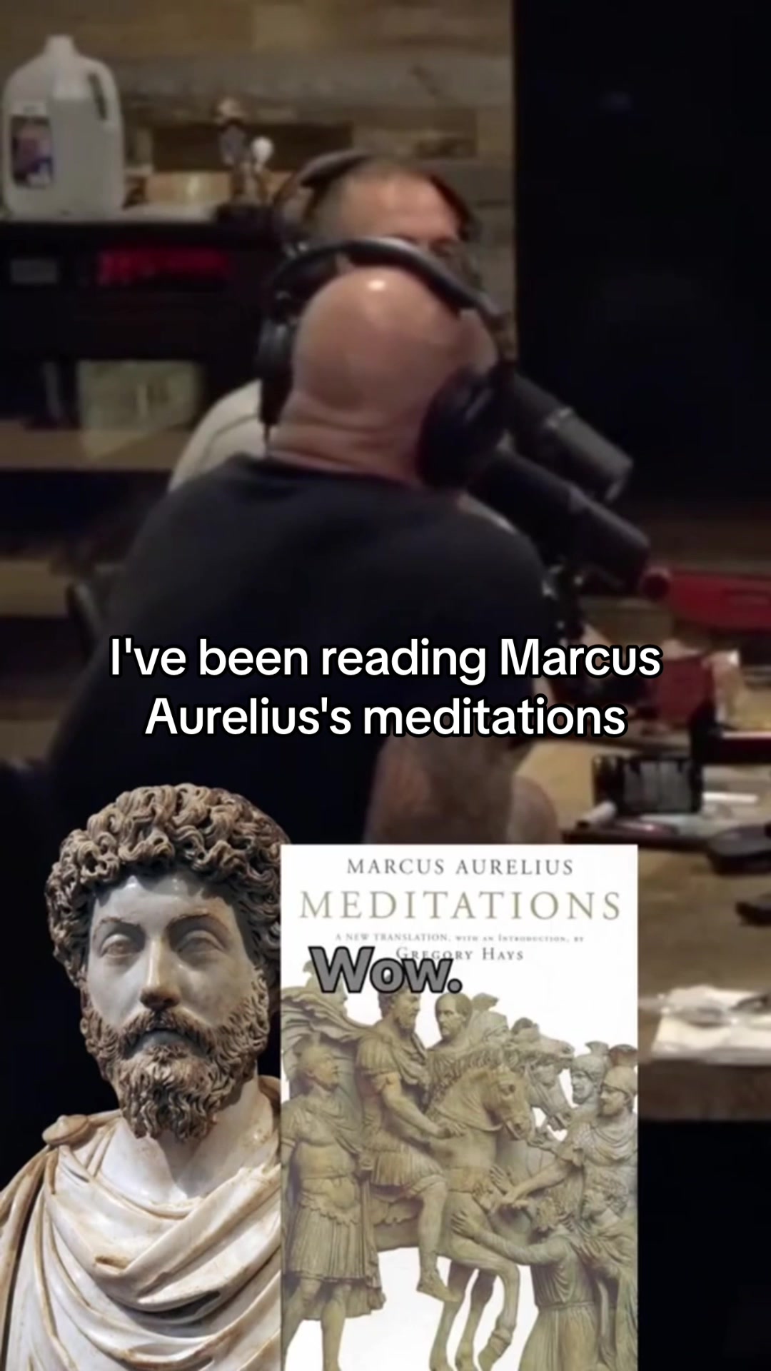 TikTok post by @shaq_mair44 for Daily Stoic. Caption reads: #stitch with @dailystoic meditations by Marcus....