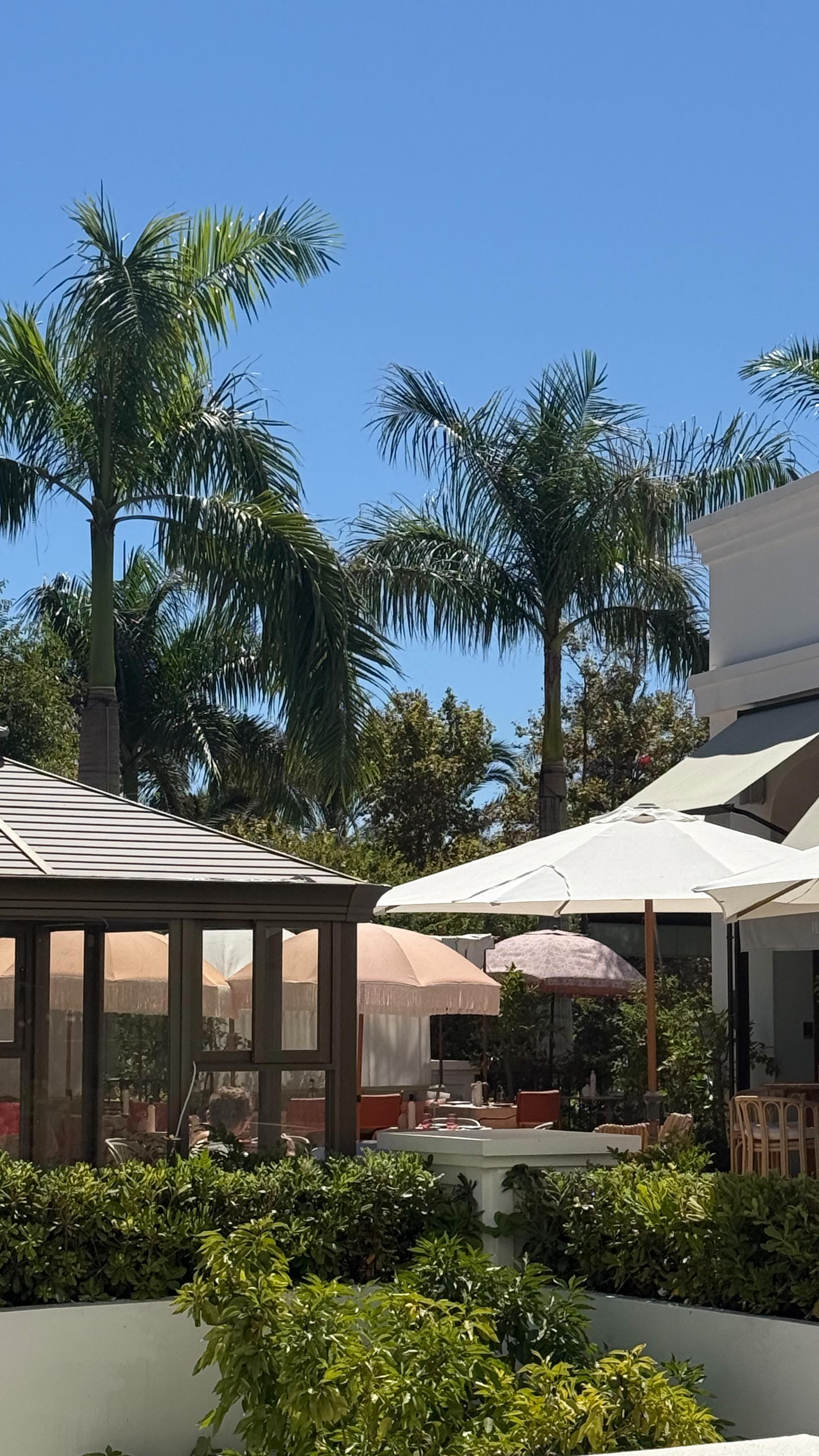 Instagram post by @simay.ridvan for PURELEI. Caption reads: [...] show you a little sneak peek of the PURELEI....