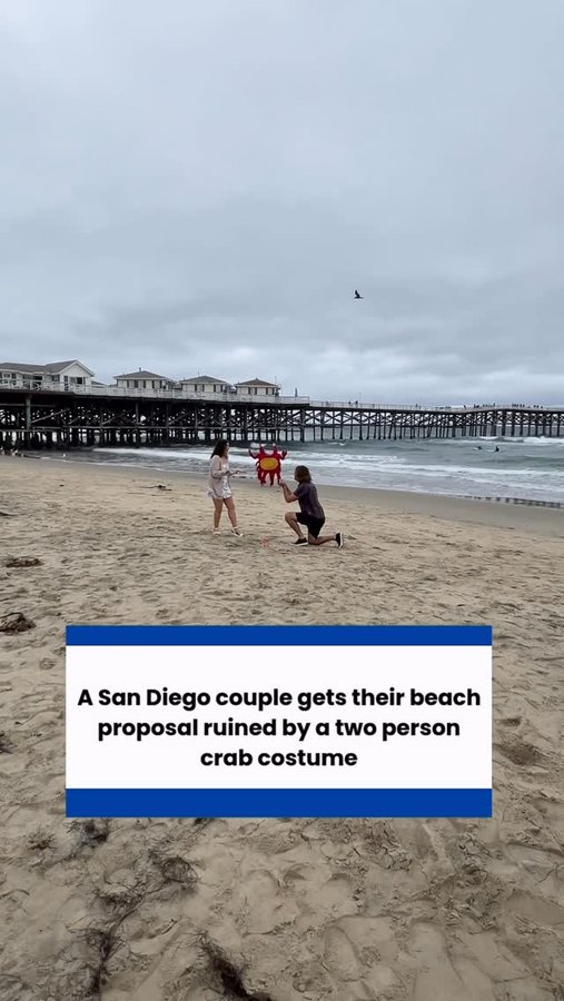 Instagram post by @sandiegohumor for Tipsy Elves. Caption reads: [...] and we teamed up with local SD brand....