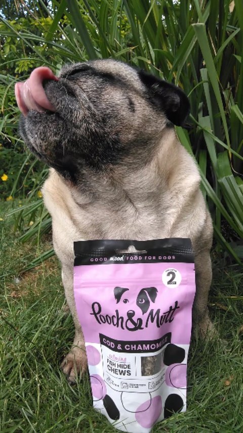 Instagram post by @lilrascalpug for Pooch and Mutt. Caption reads: H o w  M u c h  i s  T h e  F i s h....