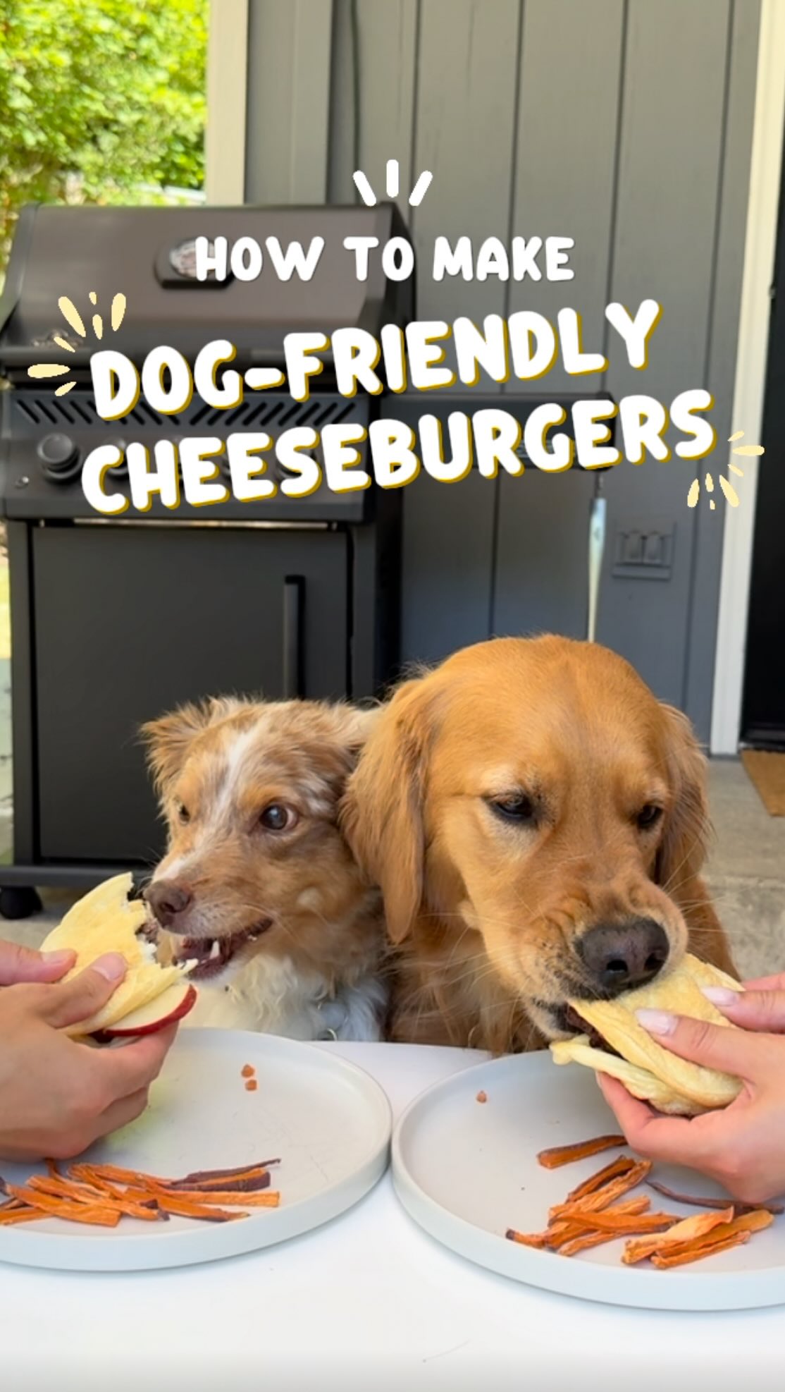Instagram post by @ayce.and.aria for Napoleon Grills. Caption reads: How to Make Dog-Friendly Cheeseburgers! 🐶🍔....