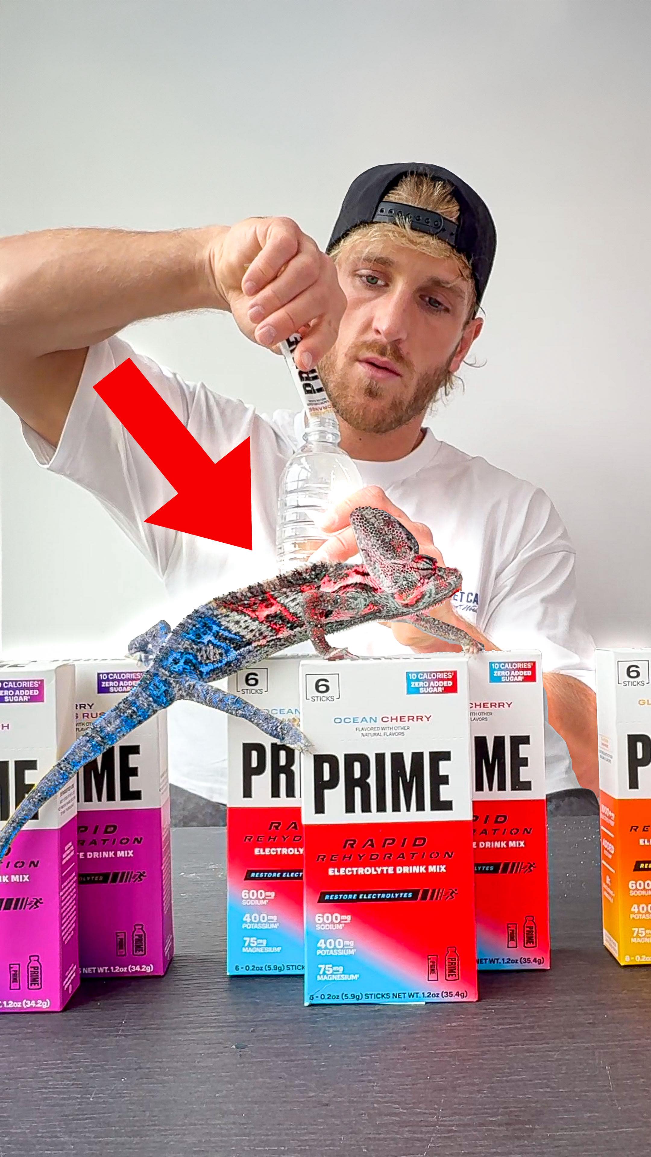 Instagram post by @loganpaul for DrinkPrime. Caption reads: [...] sugar. Which flavor is your favorite?....