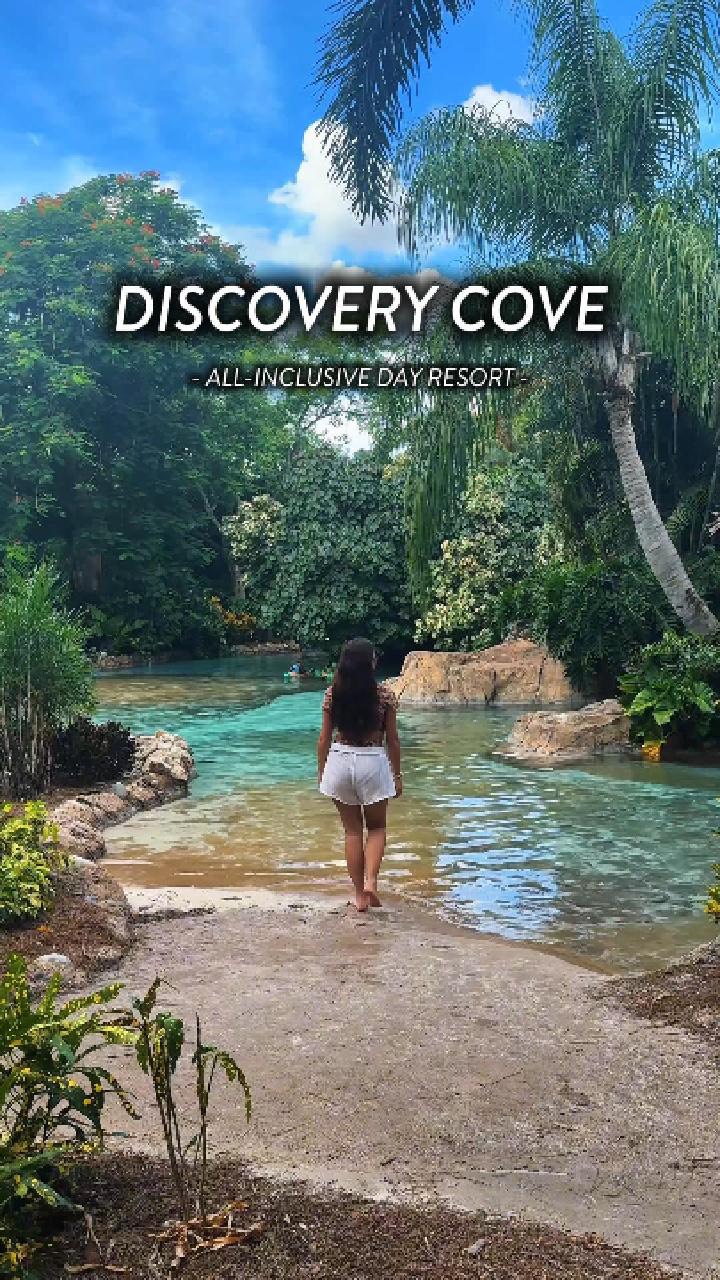Instagram post by @gina.zarnow for Visit Orlando. Caption reads: Every moment at Discovery Cove Orlando is the....