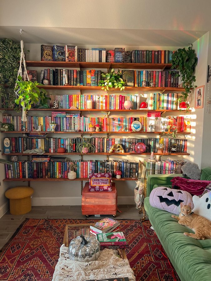 Instagram post by @firebreathing.bookqueen for Revival. Caption reads: I love a good rug it brightens up every space. I....