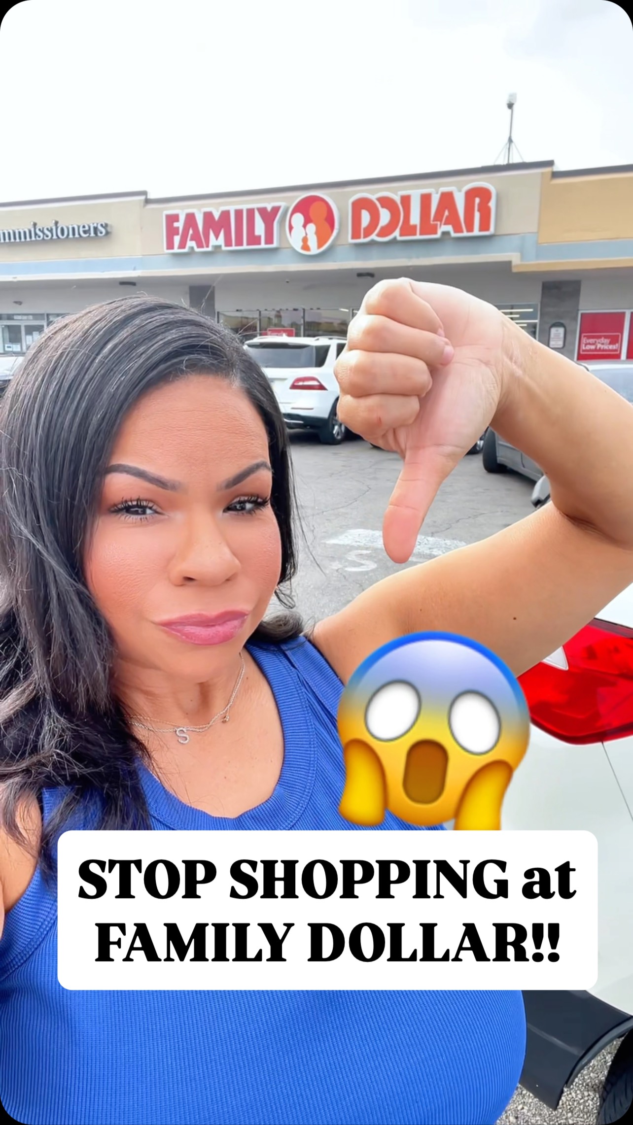 Instagram post by @sensationalfinds for Family Dollar. Caption reads: Stop shopping at Family Dollar ❌ Private equity is....