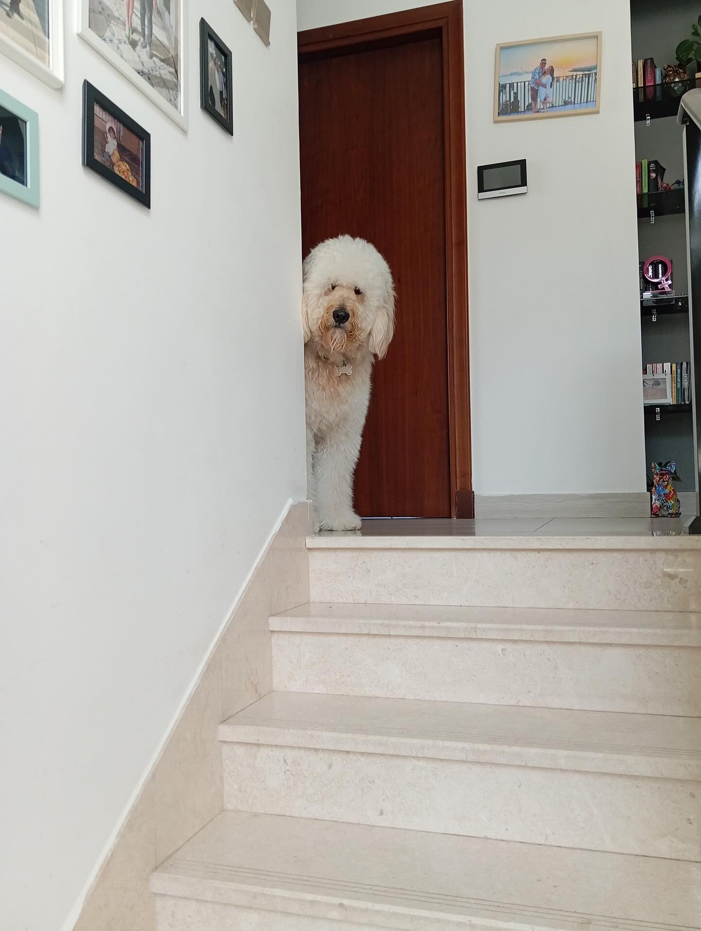 Instagram post by @lavanyavikram_ for BuzzFeed. Caption reads: My Mumma is resting — Don’t disturb her 😎👀
Guard....