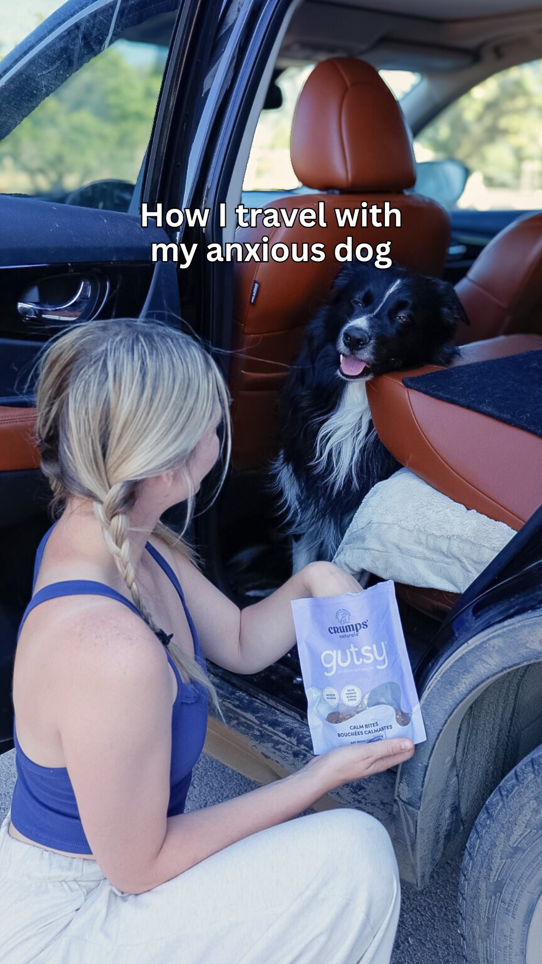 Instagram post by an influencer for Crumps' Naturals. Caption reads: [...] anxious dog this summer, @crumpsnaturals....