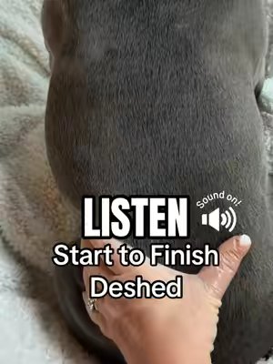 TikTok post by @bruno.my.frenchie for SleekEZ. Caption reads: [...] just the oddly satisfying sound of the....