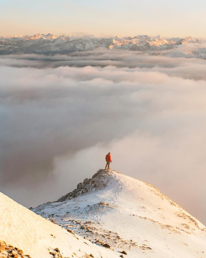 Instagram post by @stevint for Duracell. Caption reads: You don't need to be a bird to get a birds eye....