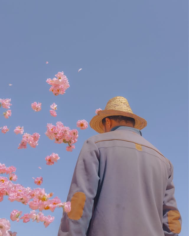 Instagram post by @teresacfreitas for Vsco. Caption reads: "Color creates mood instantly — nostalgia,....