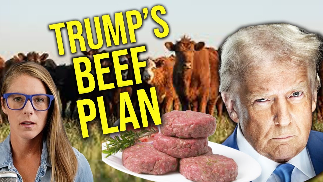 YouTube post by @AlisonMorrow for Formless Beauty. Caption reads: The beef with Trump's beef plan || Joel Salatin.