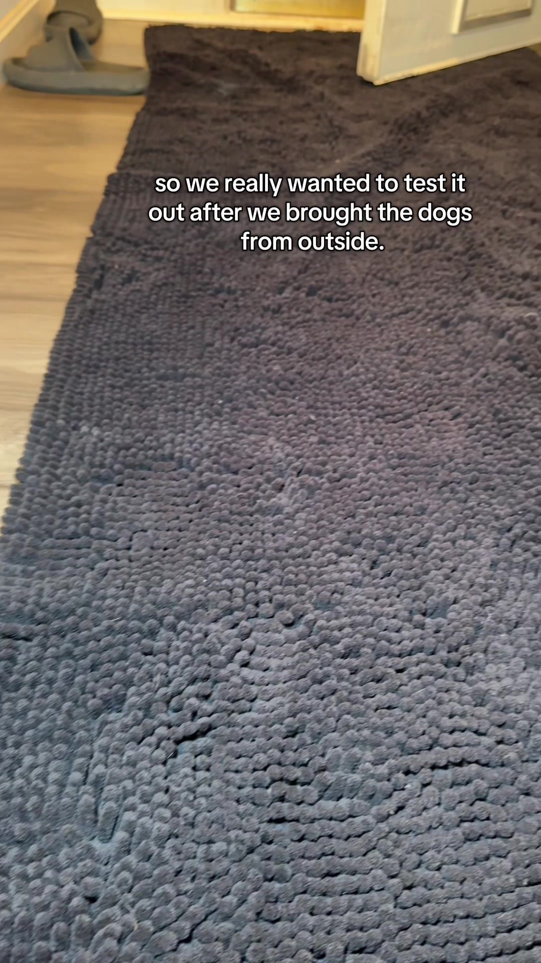TikTok post by @albaandkee for Muddy Mat. Caption reads: [...] everyone who has dogs needs this 🤯 @Muddy....