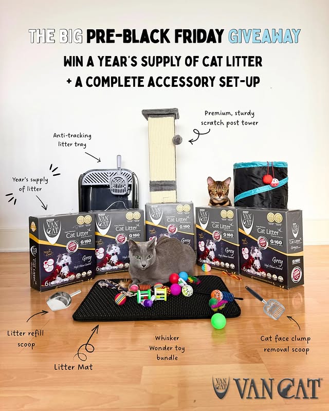 Instagram post by @lupininlondon for VanCatUK. Caption reads: Ad VanCatUK are gearing up for their biggest Black....