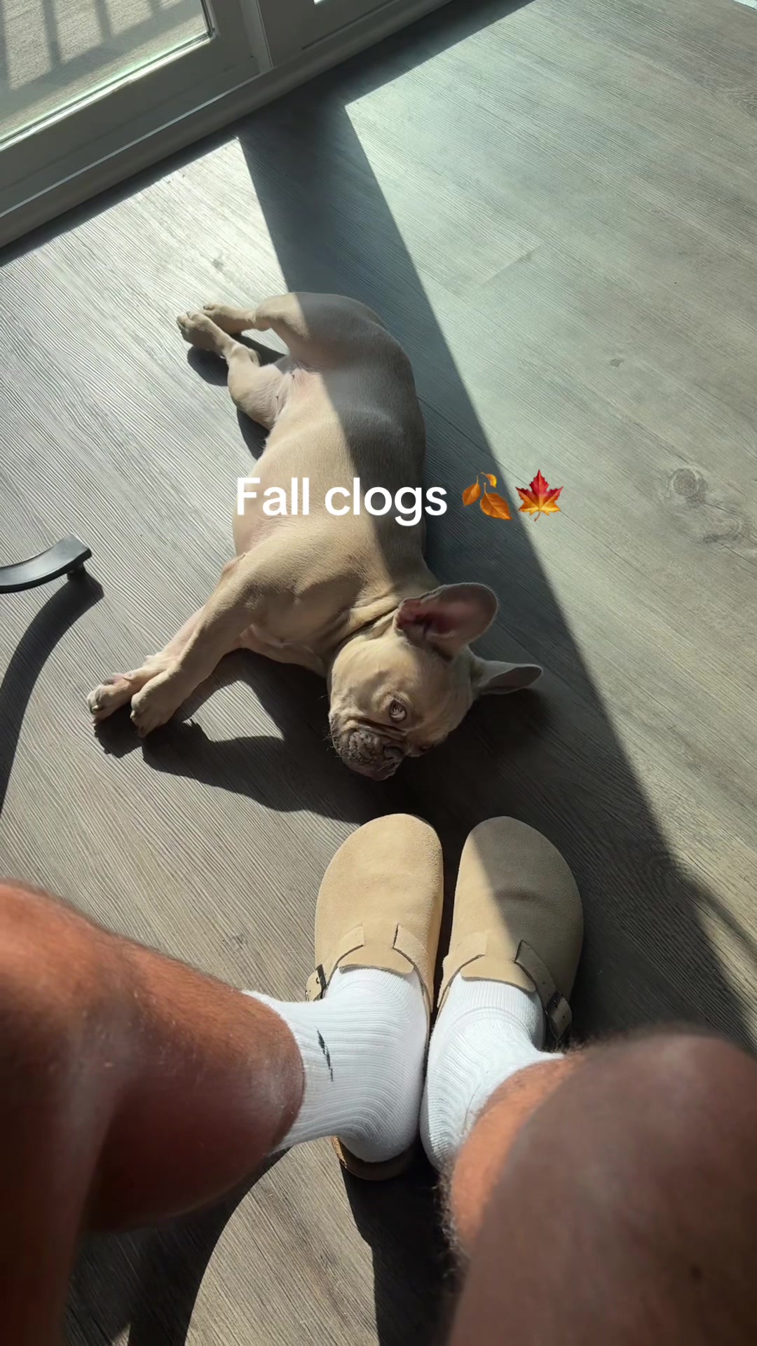 TikTok post by @miigllemus for Fitory. Caption reads: [...] potato how could I not love them. @FITORY....