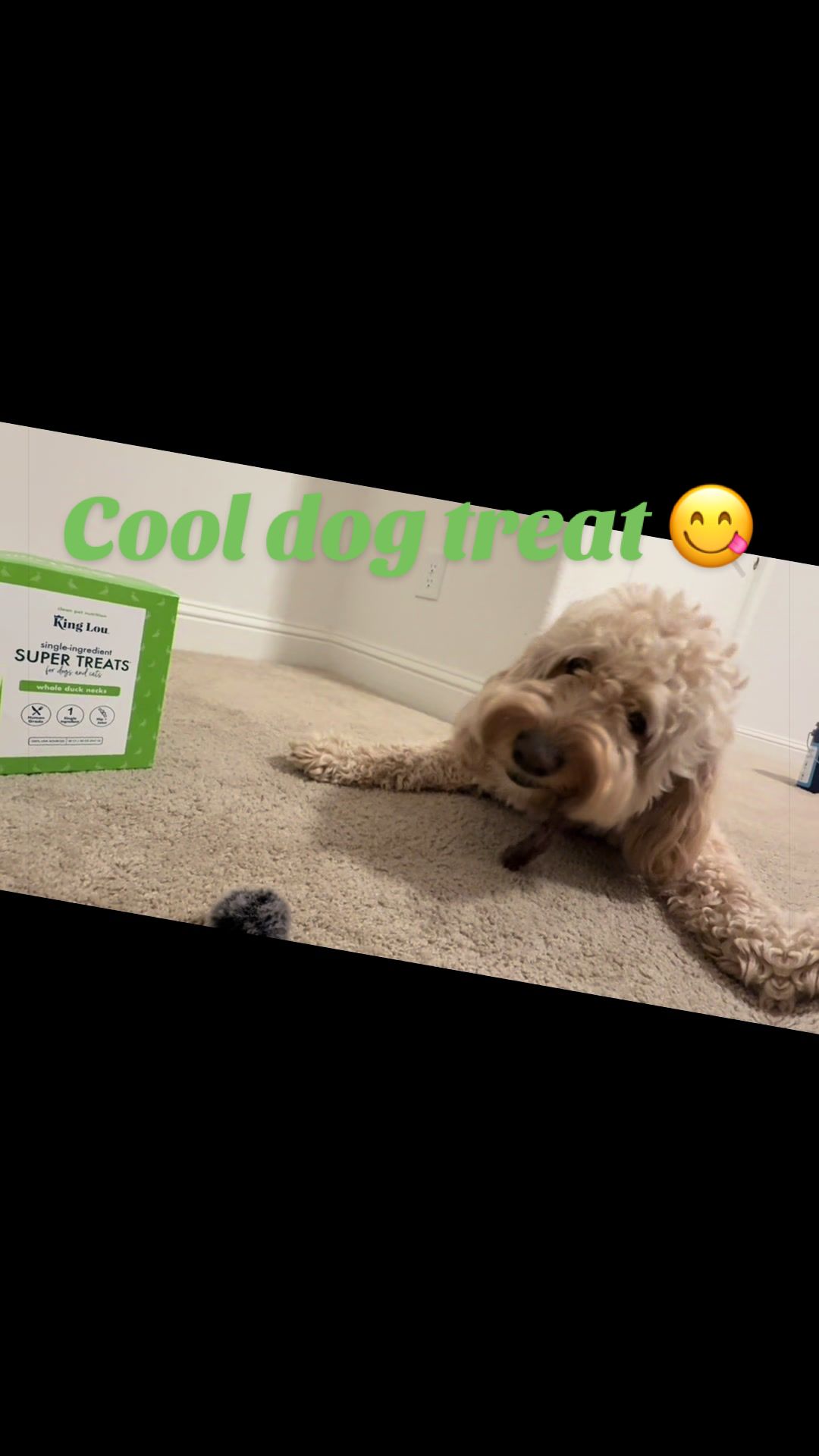 TikTok post by @worldofoso for King Lou. Caption reads: [...] #naturaldogtreats #dogtokshop @King Lou.