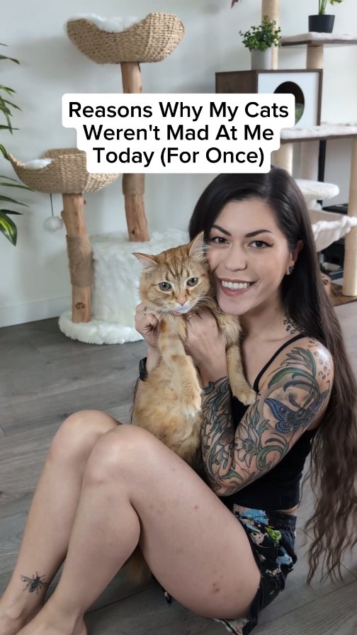Instagram post by @gingiandluna for PetSmart. Caption reads: Happy International Cat Day!!! Did you almost....