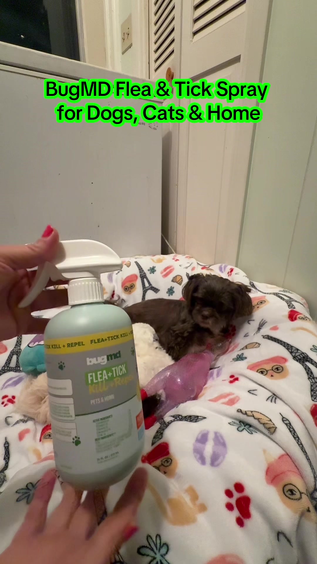 TikTok post by @yulysilva5050 for BugMD. Caption reads: BugMD Flea & Tick Spray for Dogs, Cats & Home -....