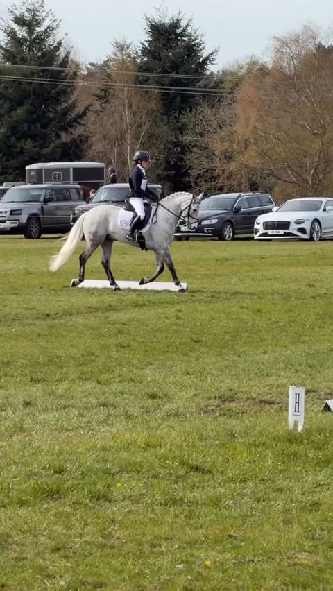 Instagram post by @claudiagrovesequestrienne for Charles Owen. Caption reads: We have had the best day! 🤩 Did they win? No Did....