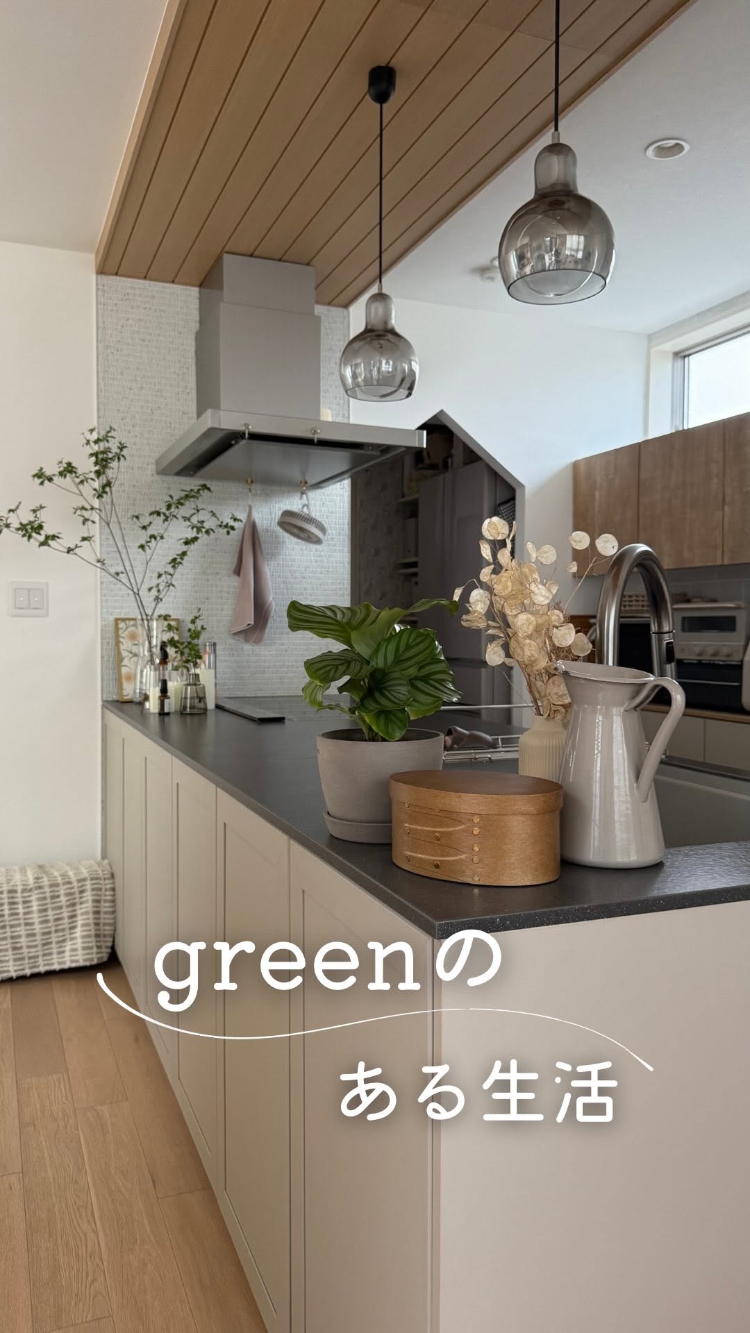 Instagram post by @ayagram_home for ANDPLANTS. Caption reads: greenのある生活🌿
@ayagram_home
↳暮らしやインテリア、お家づくりの発信をしてい....