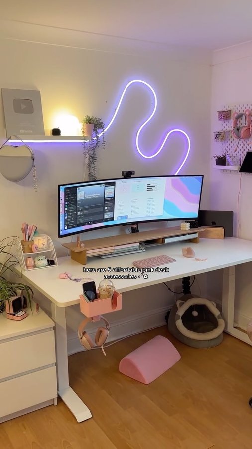 Instagram post by @agenomicsphd for DeltaHub. Caption reads: pssttt prices down below / 5 desk accessories for....