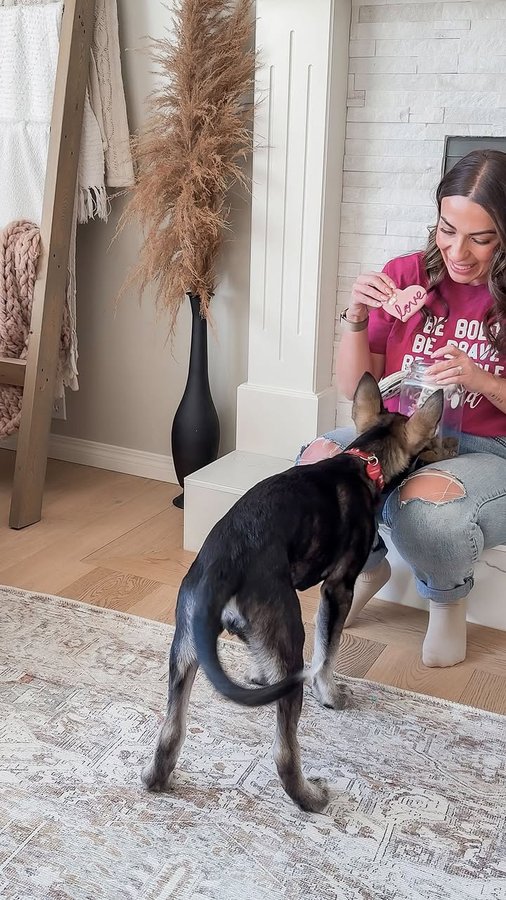 Instagram post by @teacuk for Pet Valu. Caption reads: There is nothing quite like the unconditional love....