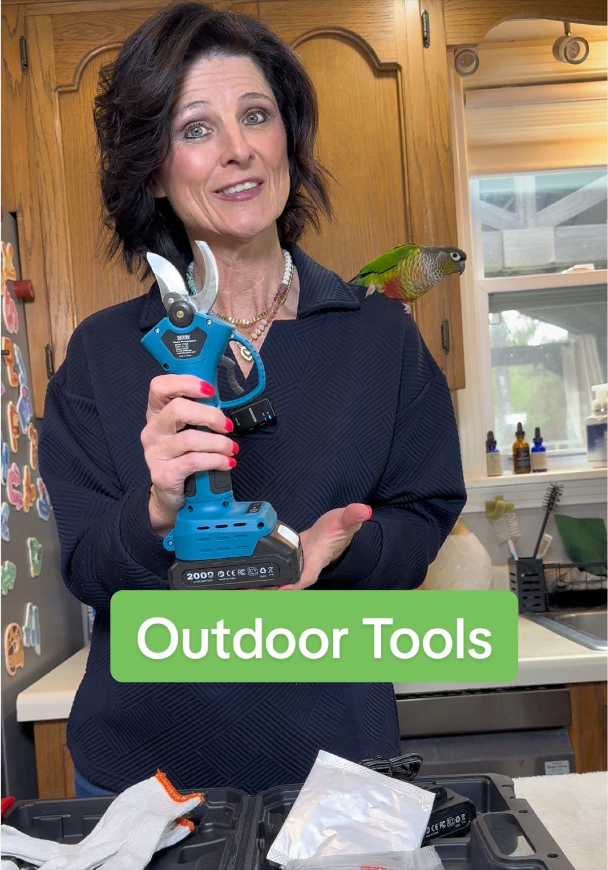 TikTok post by @kristiejohns4 for Seesii. Caption reads: Electric Pruning Shears for Gardening @SEESII....