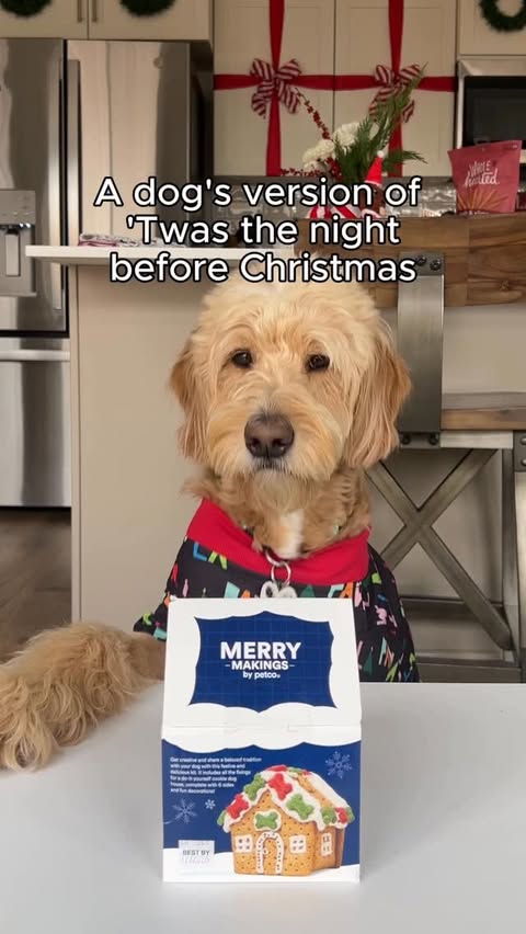 Instagram post by @vitothedogfather for Petco. Caption reads: [...] traditions and all the holiday magic ✨....