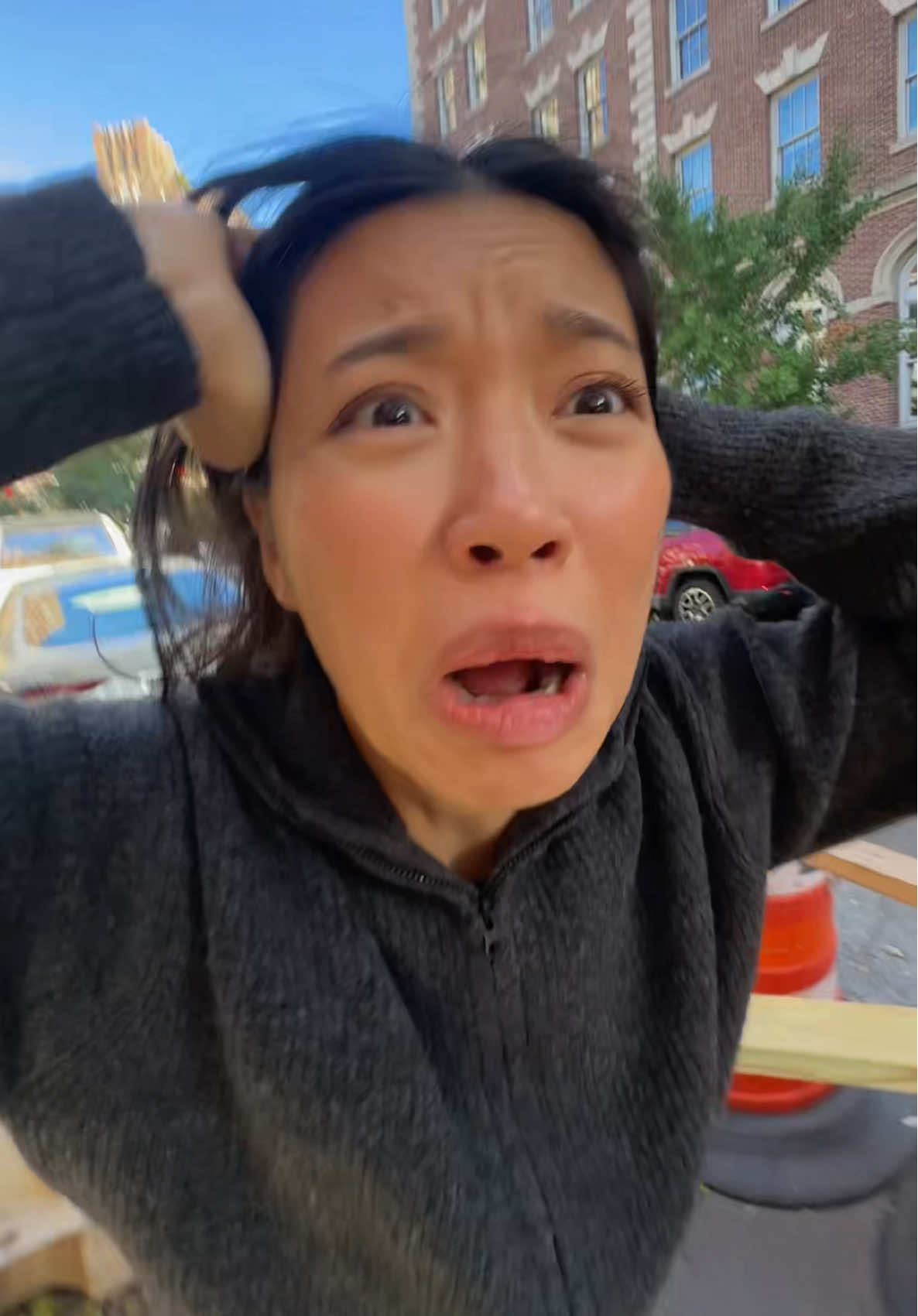 TikTok post by @jasminemaa for Havaianas. Caption reads: i need my dogs out all year round @Havaianas US....