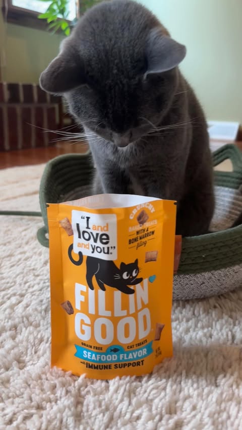 Instagram post by @purrfectinfluencer for I and love and you. Caption reads: [...] better than me with the help of....