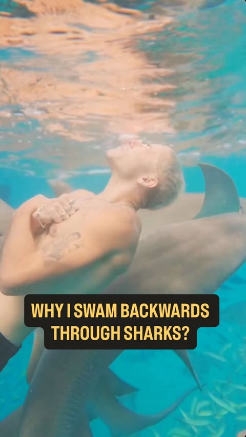 Instagram post by @taz_skylar for Visit Maldives. Caption reads: Contrary to popular belief I’m actually scared of....