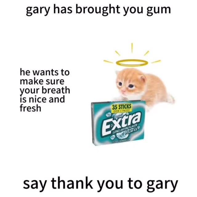Instagram post by @higary__ for EXTRA Gum. Caption reads: thank you gary 😇.