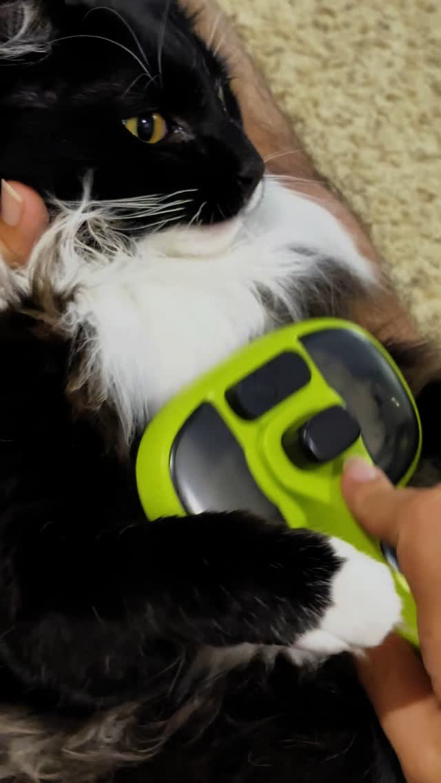 Instagram post by @fettyy_official_ for Pecute. Caption reads: Name a better duo than me and my @pecuteofficial....