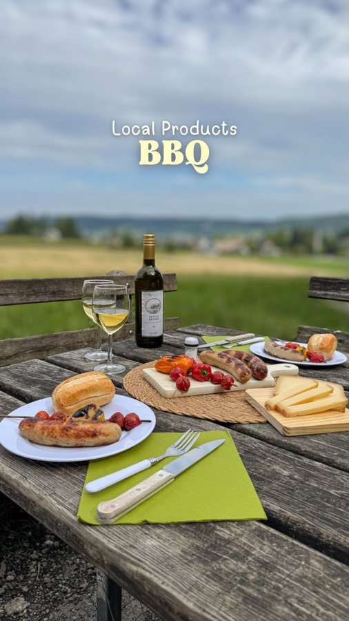 Instagram post by @jas.decker for lidlch. Caption reads: [...] for UNDER CHF 25.- 😱
*advertisement @lidlch....