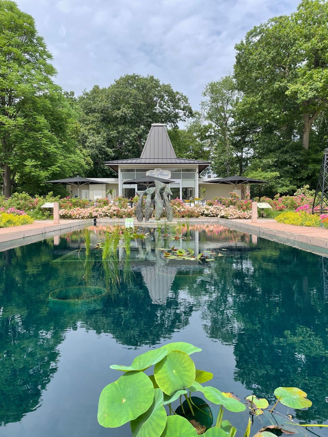 Instagram post by @rbgcanada for Destination Ontario. Caption reads: Tranquility is steeped into every sip at....