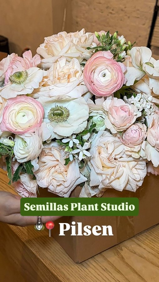 Instagram post by @flos_favorites for Choose Chicago. Caption reads: Semillas offers much more than beautiful plants.....