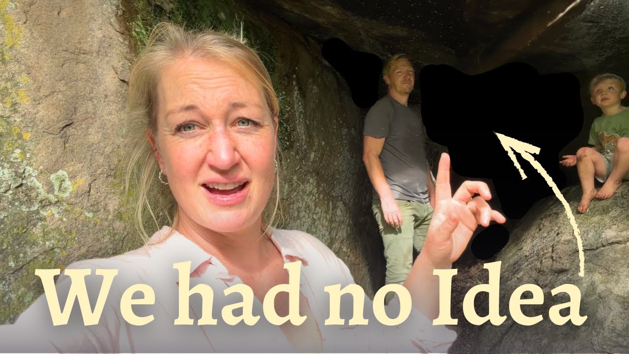 YouTube post by @TheNewbys for Magic Mind. Caption reads: We are SO excited to share our findings with you.....