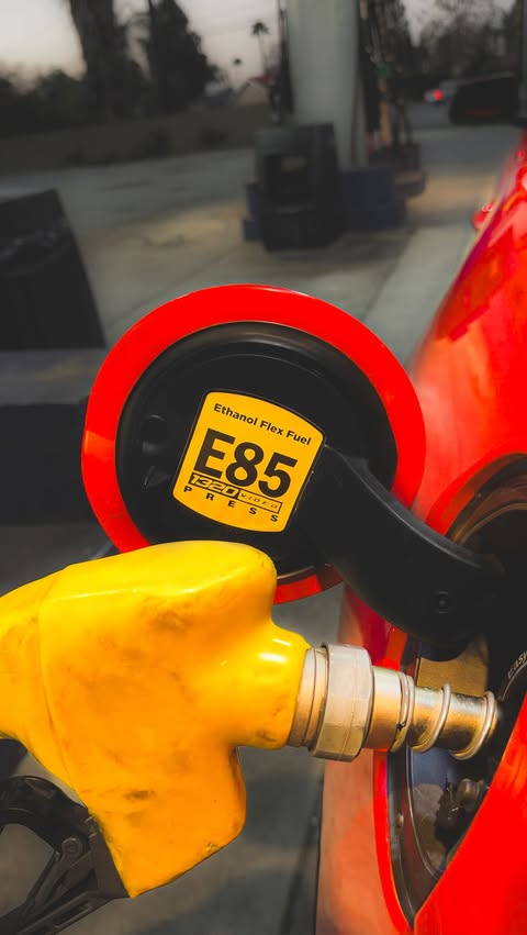 Instagram post by @juniorr_5.0 for Ford Performance. Caption reads: 🌽 fed 
➖➖➖➖➖➖➖➖➖➖➖➖➖➖➖➖➖➖
Follow📸:....