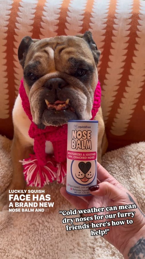 Instagram post by @_darlin_clementine for Squishface. Caption reads: [...] and am really loving this balm from....