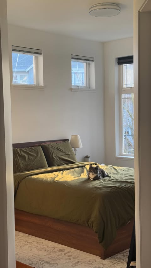 Instagram post by @saharayar for Salams. Caption reads: [...] #salaamsapp #muslim #muslimmarriage....