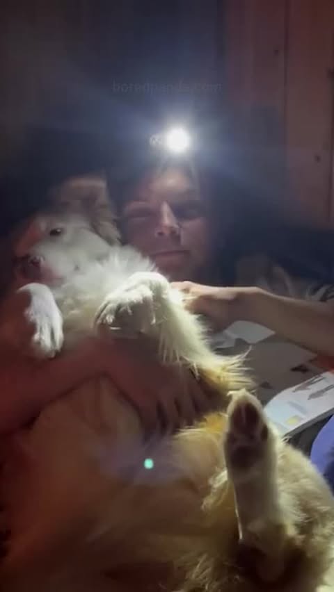 Instagram post by @eevamakinen for Bored Panda. Caption reads: See "The best places and times to see the northern....