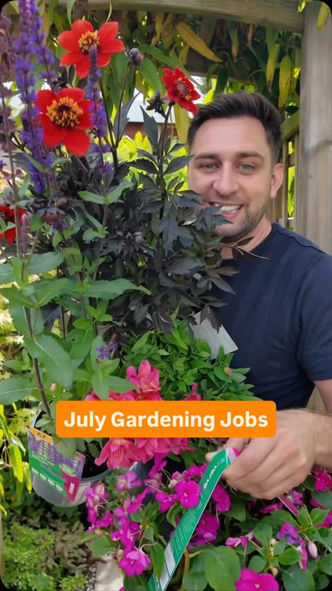 Instagram post by @greenfingeredcityboy for B&Q. Caption reads: ad 🌱 Gardening Jobs for July, to ensure your....