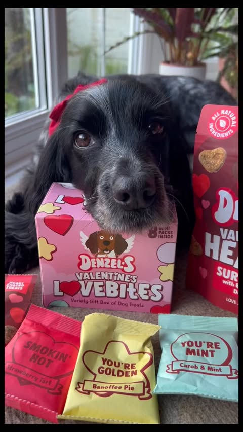 Instagram post by an influencer for Denzel's. Caption reads: [...] pals)? Kindly gifted by @thedenzelstory....