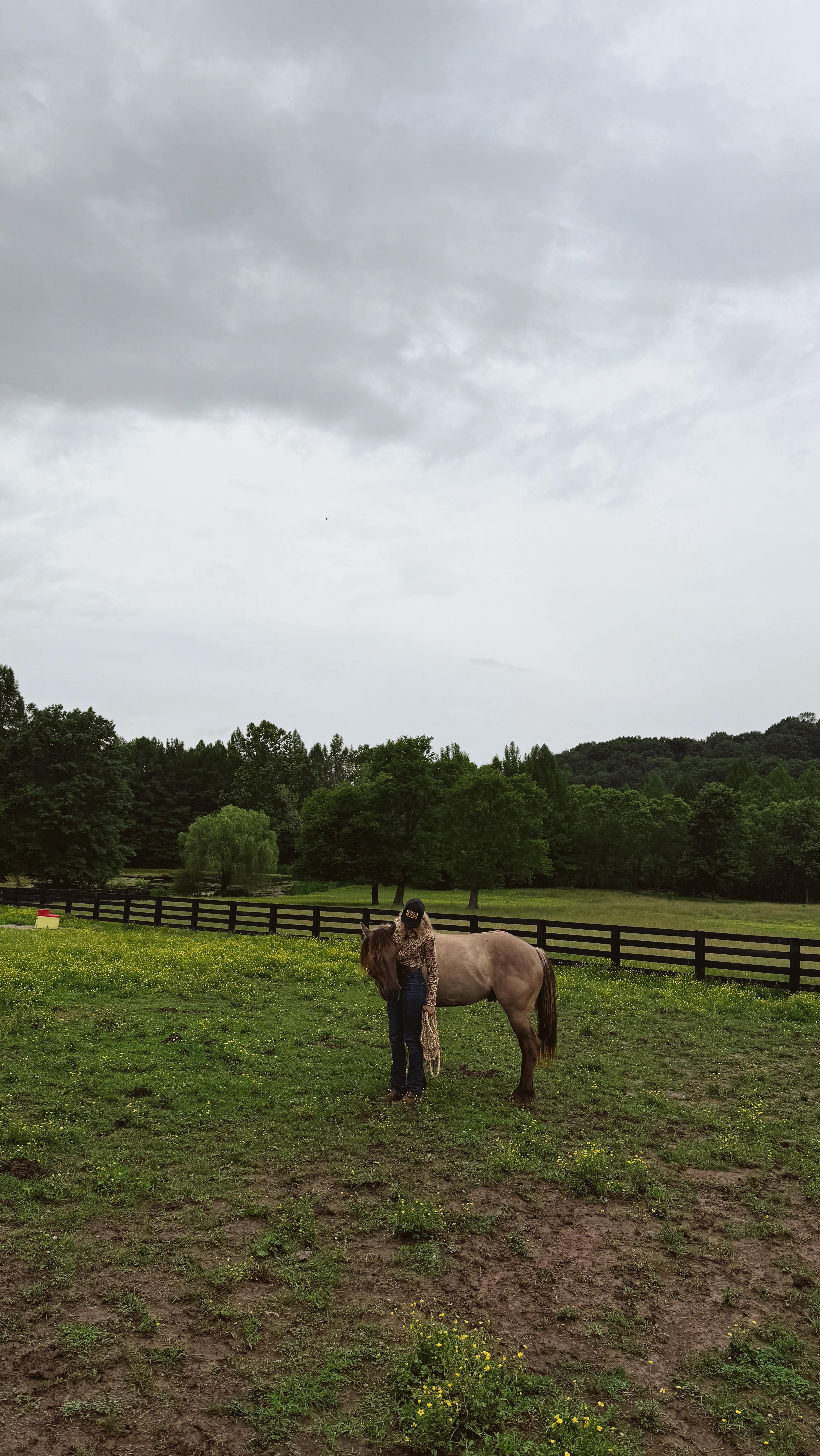 Instagram post by @rosereidd for Schaefer Outfitter. Caption reads: [...] arrived—RODEO. thank you to the....