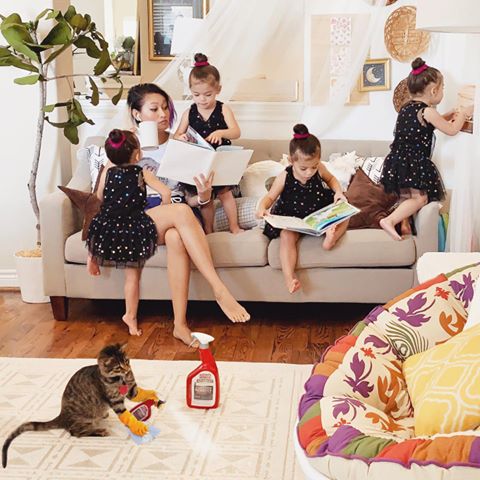 Instagram post by @heykayelle for Nature's Miracle. Caption reads: I am usually considered the "fun" adult. This....